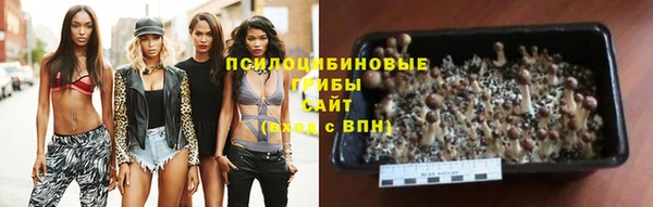 спиды Абинск