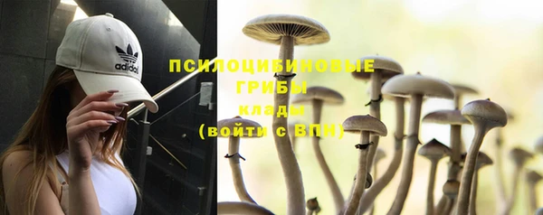 спиды Абинск