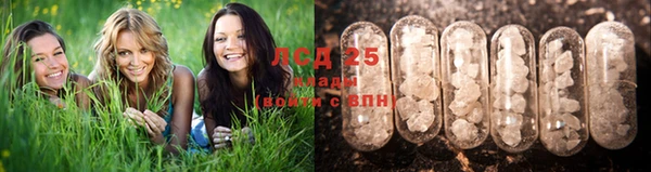 спиды Абинск