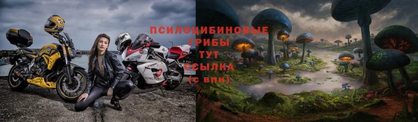 спиды Абинск