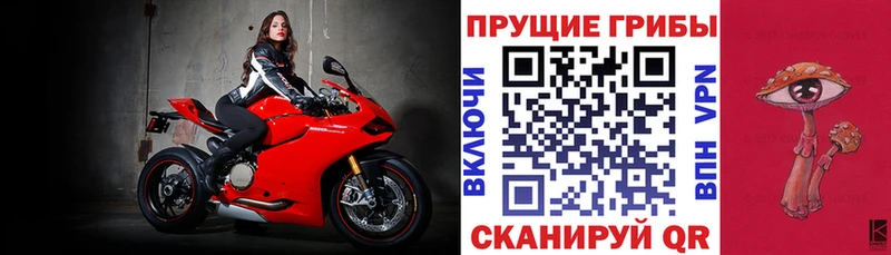 Псилоцибиновые грибы GOLDEN TEACHER Алзамай